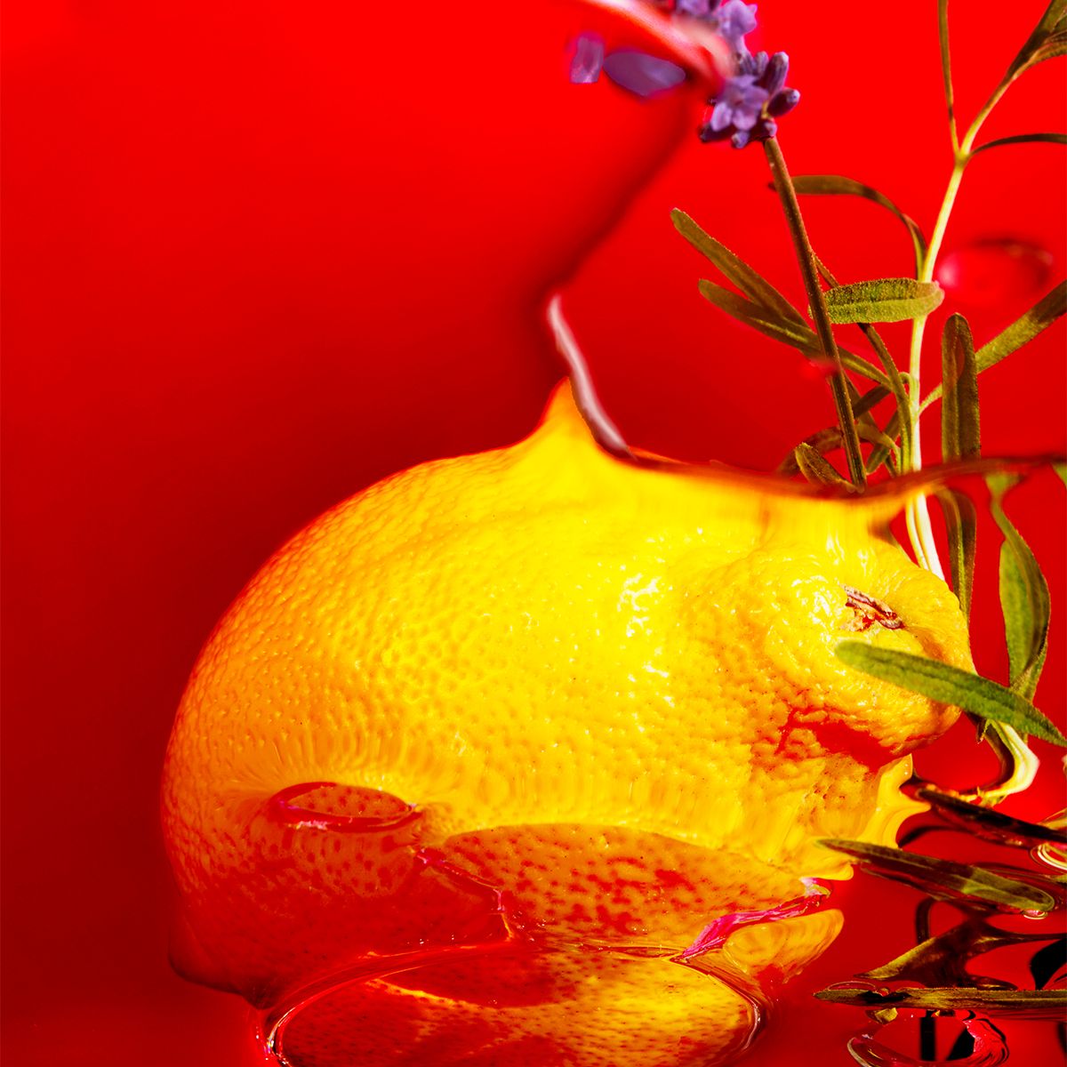 Roget & Gallet I Perfumed Soap - Jean Marie Farina 300g (3x100g)