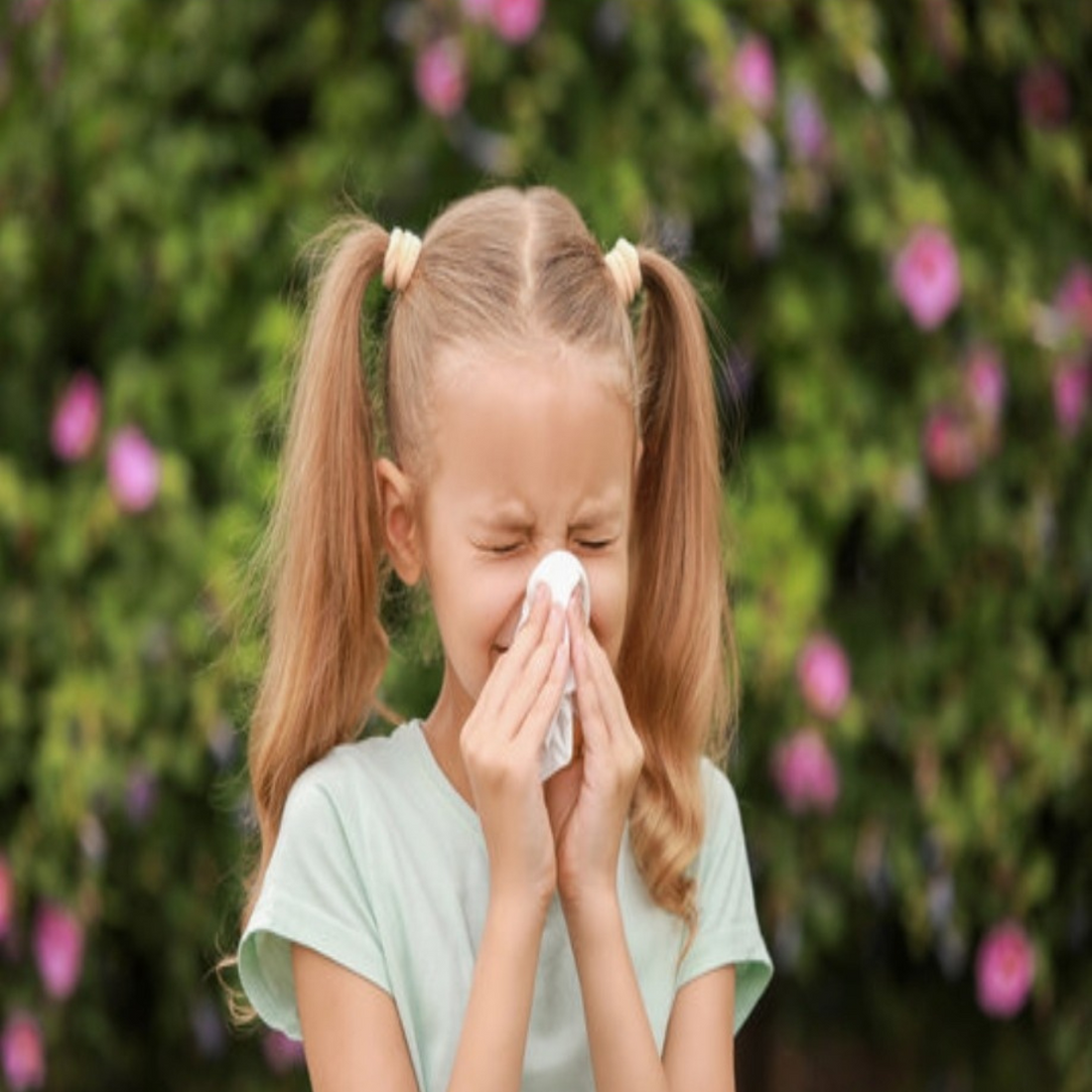 How To Deal With Seasonal Allergy