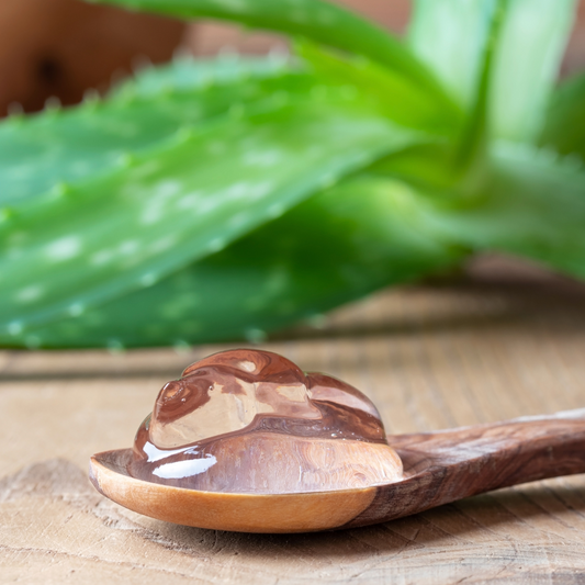 The Marvelous Benefits of Aloe Vera for Skincare: Nature's Soothing Secret