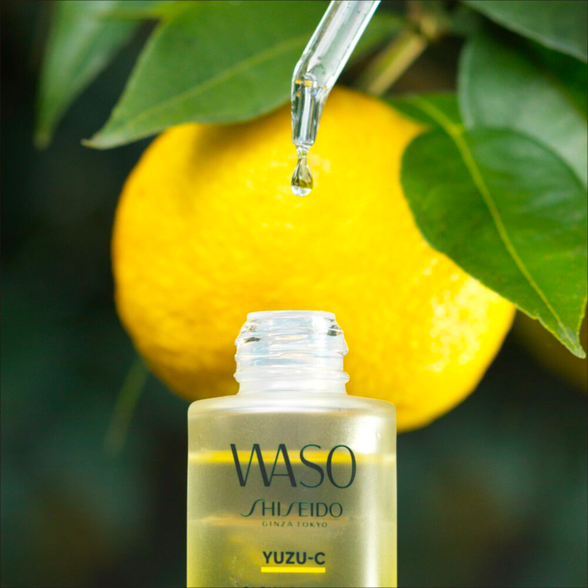 Shiseido Waso YUZU-C Glow-On Shot