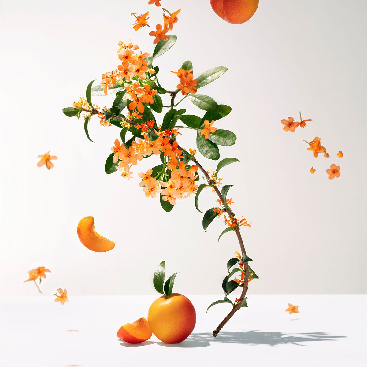 Wellbeing Fragrant Water - Fleur d'Osmanthus 100ml