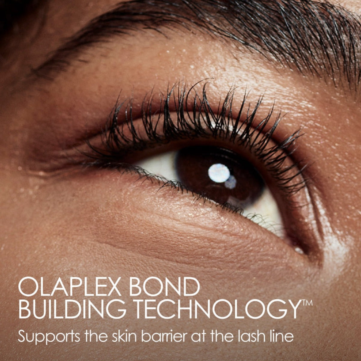 OLAPLEX I Lashbond Building Serum