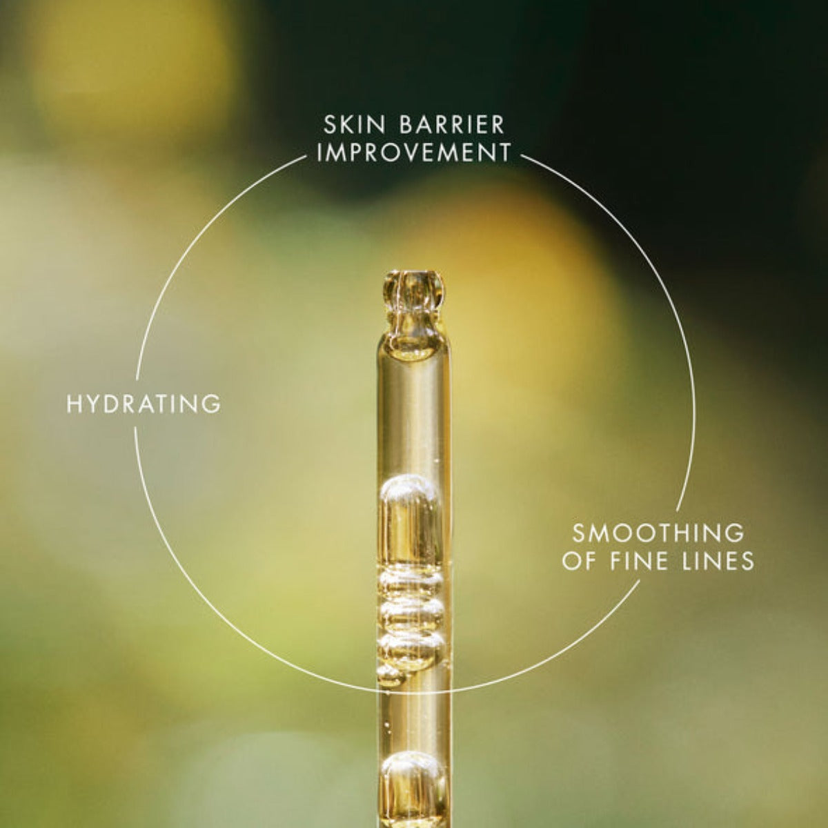 EVE LOM I Renewal Treatment Oil 30 ml