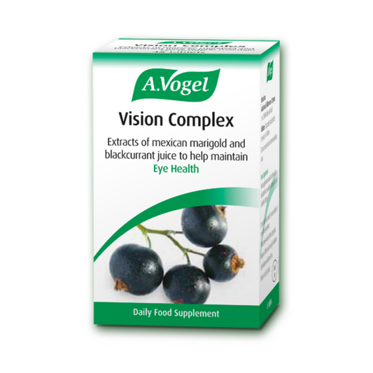A.Vogel | Vision Complex