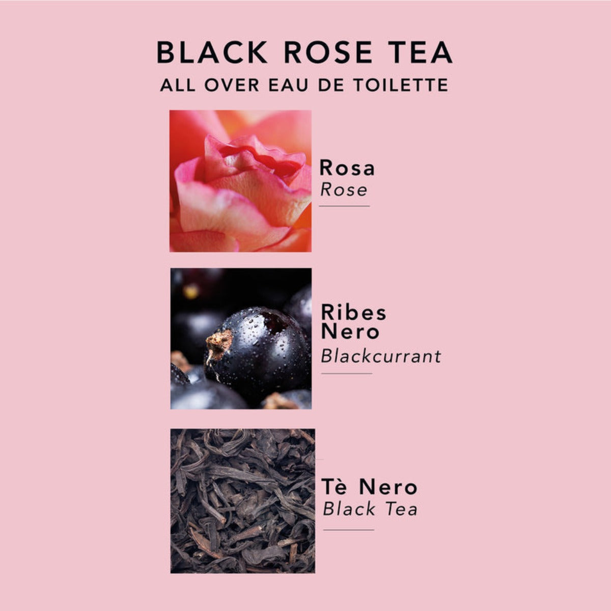 Teaology I Black Rose Tea Eau De Toilette 100ml
